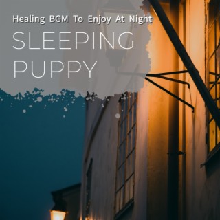 Healing Bgm to Enjoy at Night