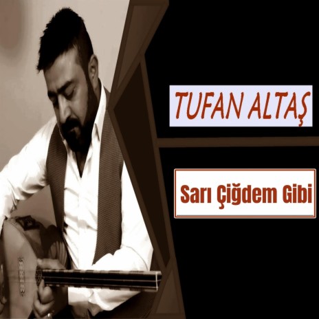 Sarı Çiğdem Gibi | Boomplay Music