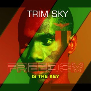 Freedom is the key lyrics | Boomplay Music