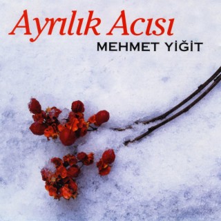 Ayrılık Acısı