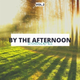 By the Afternoon Soundscapes, Vol. 2