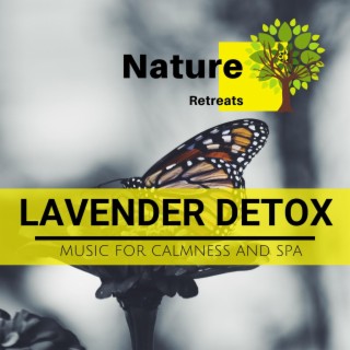 Lavender Detox - Music for Calmness and Spa