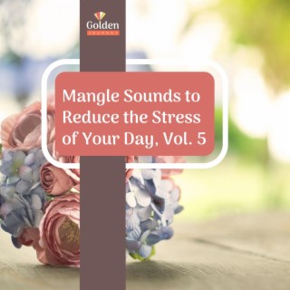 Mangle Sounds to Reduce the Stress of Your Day, Vol. 5