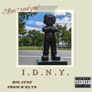 IDNY lyrics | Boomplay Music