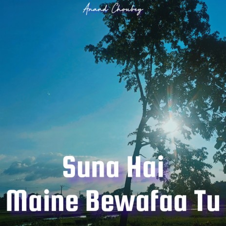 Suna Hai Maine Bewafaa Tu | Boomplay Music
