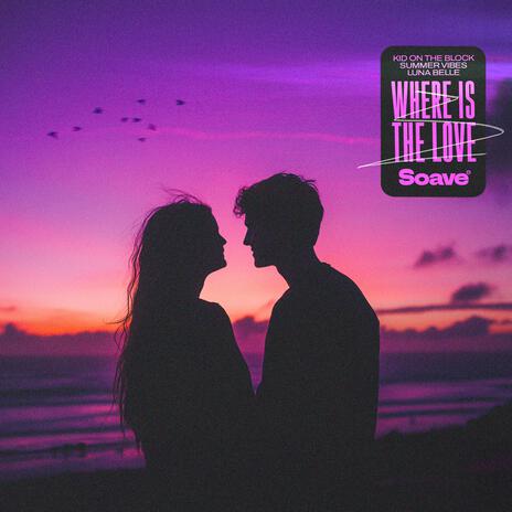 Where Is The Love? ft. Summer Vibes & Luna Belle | Boomplay Music