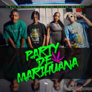 Party De Marihuana