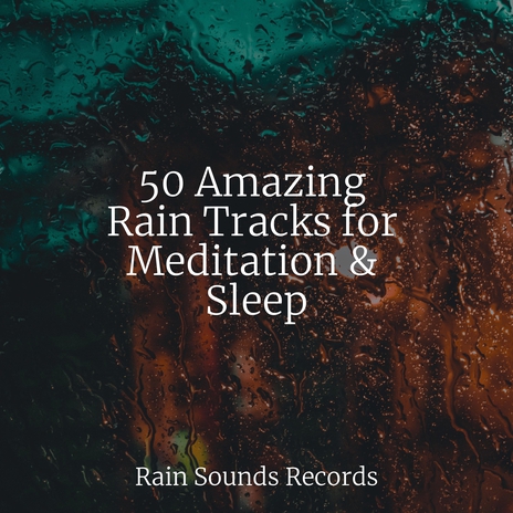 Enchanted Fireside Symphony ft. Sleep Sounds of Nature & Yoga Sounds | Boomplay Music