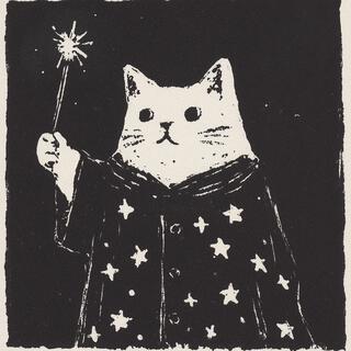 wizarding cat