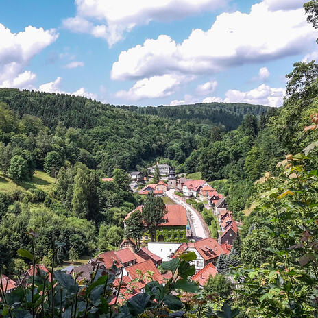 der Harz