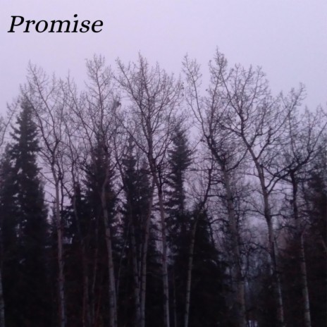 Promise | Boomplay Music