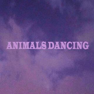 Animals Dancing