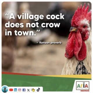 Why can’t a village cock crow in town? | African wisdom to help you succeed | AFIAPodcast