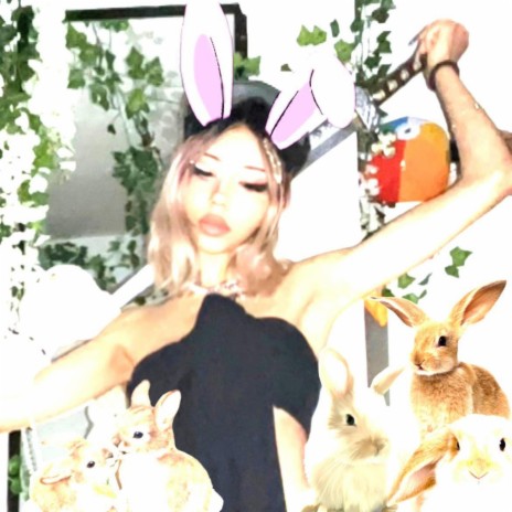 bunny party <3 | Boomplay Music