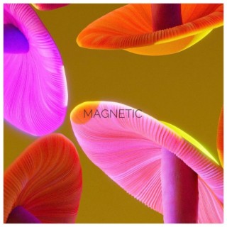 Magnetic