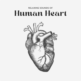 Relaxing Sounds of Human Heart: Womb Sounds for Newborns (Heartbeat Sound)
