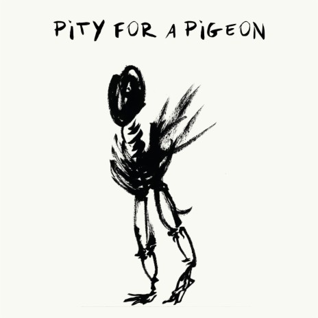 Pity For A Pigeon | Boomplay Music