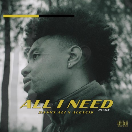 all i need (Remix) ft. Alexcis | Boomplay Music
