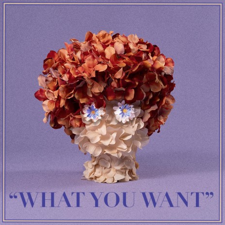 What You Want | Boomplay Music