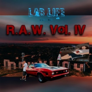 R.A.W., Vol. 4