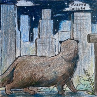 An Otter in the City EP