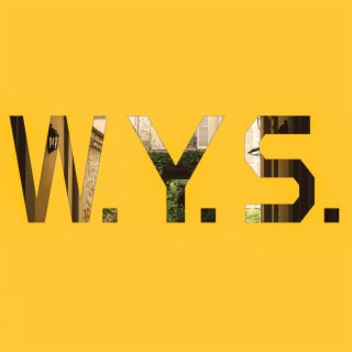 W.Y.S. (What You Say)