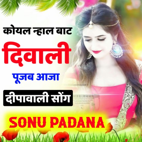 Koyal Nhal Bath Diwali Pujb Aaja Deepawali song ft. Vishnu Meena Pipli Patalwas | Boomplay Music