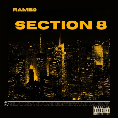 Section 8 | Boomplay Music