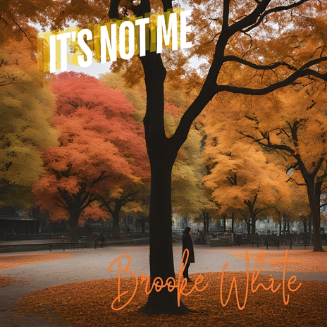 It's not Me | Boomplay Music