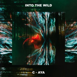 INTO THE WILD lyrics | Boomplay Music