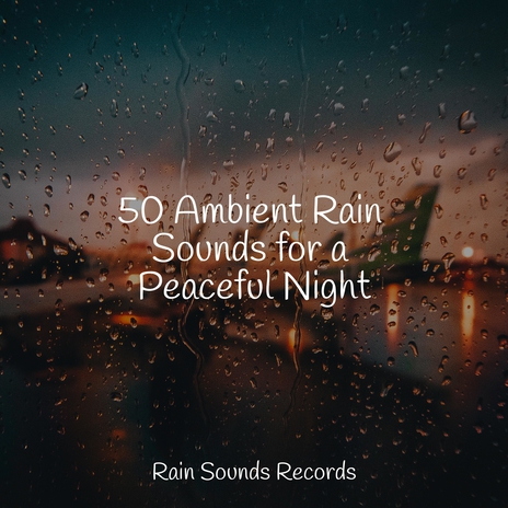 Gleaming Rainfall Symphony ft. Nature Sounds Nature Music & Sounds of Nature Relaxation | Boomplay Music