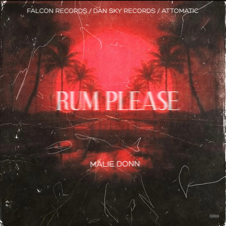 Rum Please | Boomplay Music