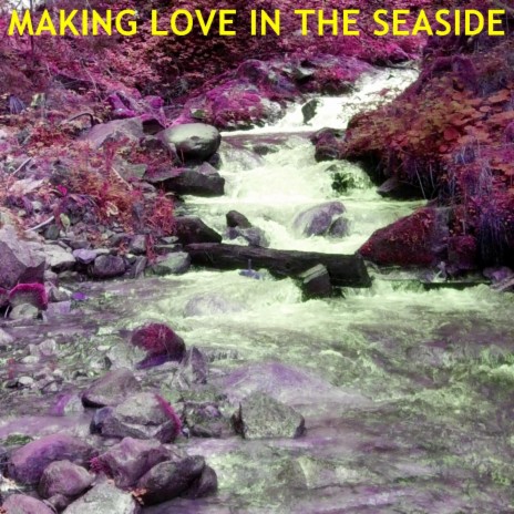 Making Love In The Seaside | Boomplay Music