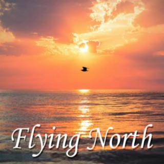 Flying North