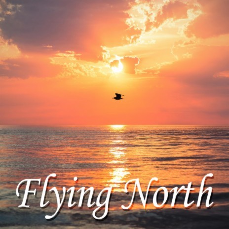 Flying North | Boomplay Music