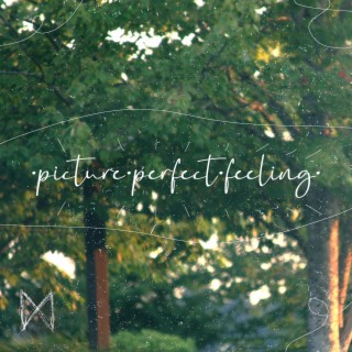 ·picture·perfect·feeling· ft. lillybug lyrics | Boomplay Music