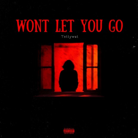 Won't Let You Go 🅴 | Boomplay Music