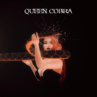 QUEEN COBRA