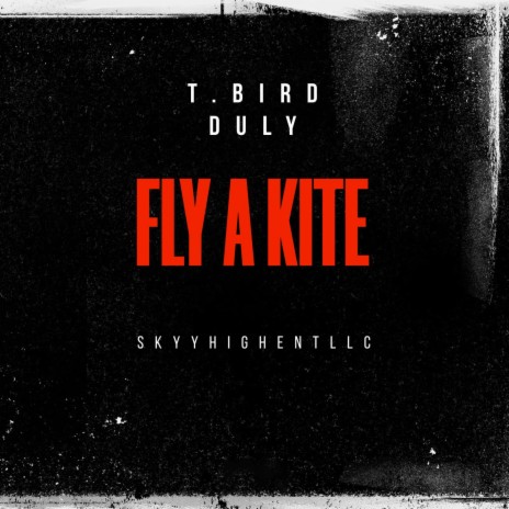 FLY A KITE | Boomplay Music
