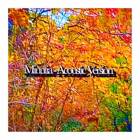 Minutia (Acoustic Version) | Boomplay Music