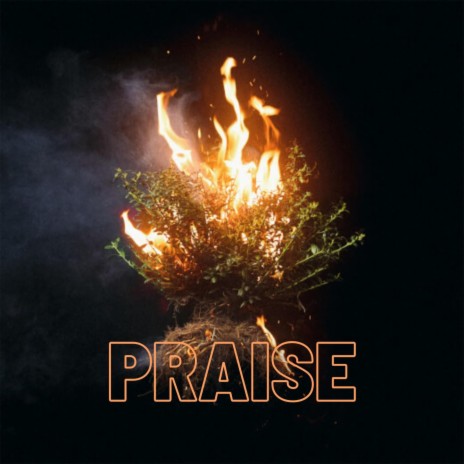 PRAISE (SebiLuca Remix) | Boomplay Music