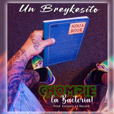 Un Breykesito | Boomplay Music