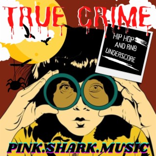Soundtrack: True Crime Hip Hop And Rnb Underscore