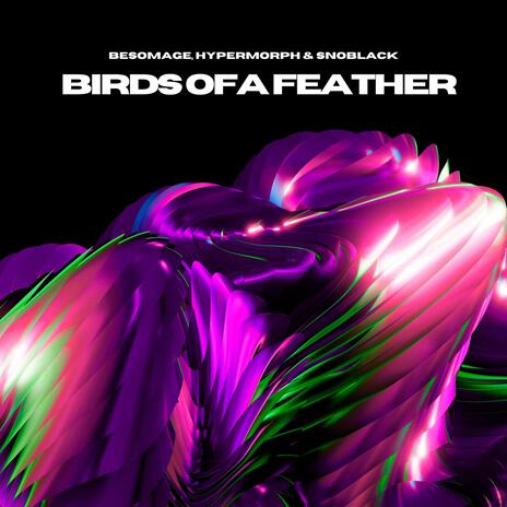 Birds Of A Feather ft. Hypermorph & Snoblack | Boomplay Music