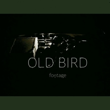 Old Bird | Boomplay Music