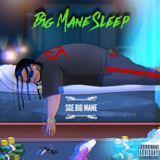 Big Mane Sleep