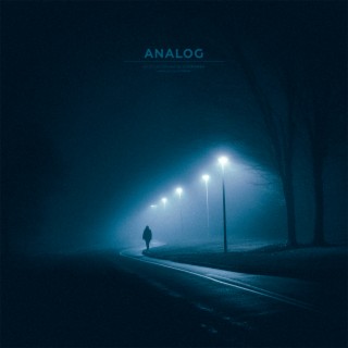 analog