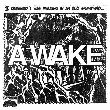 A WAKE | Boomplay Music