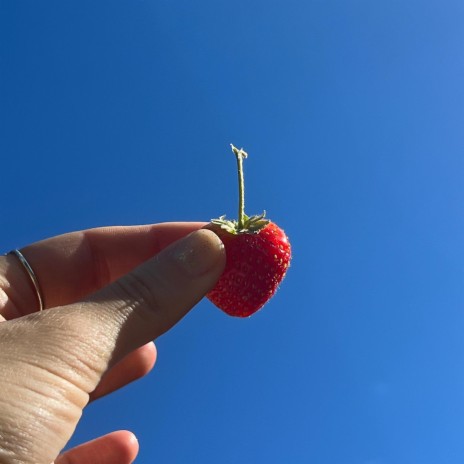 Strawberry Chapstick | Boomplay Music