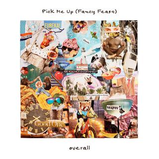 Pick Me Up (Fancy Feast) lyrics | Boomplay Music